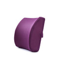Lumbar Support Cushion for Car & Office