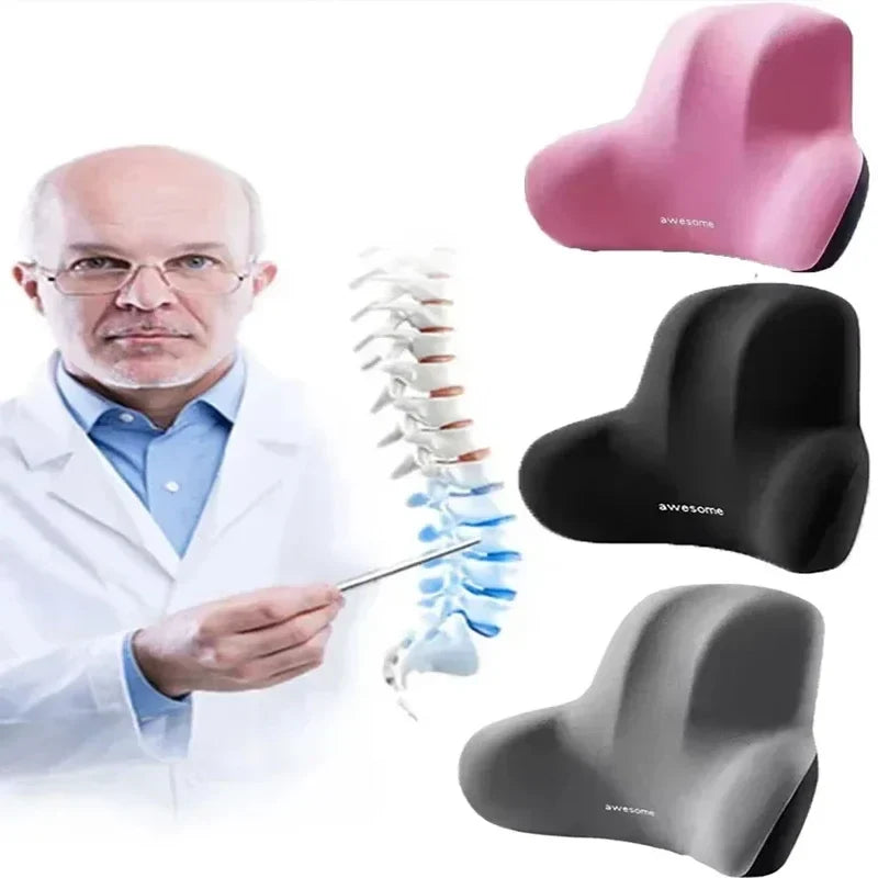 Lumbar Support Cushion for Car & Office