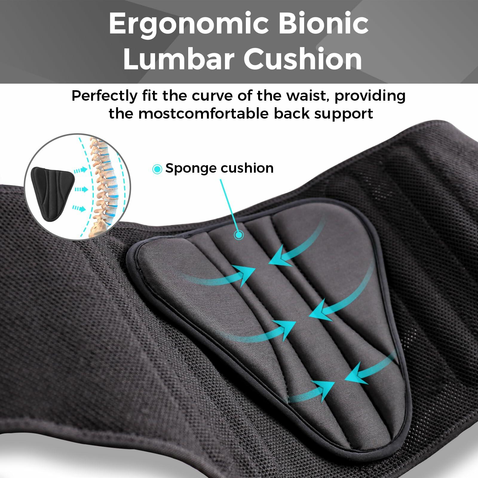 Lower Back Support Brace