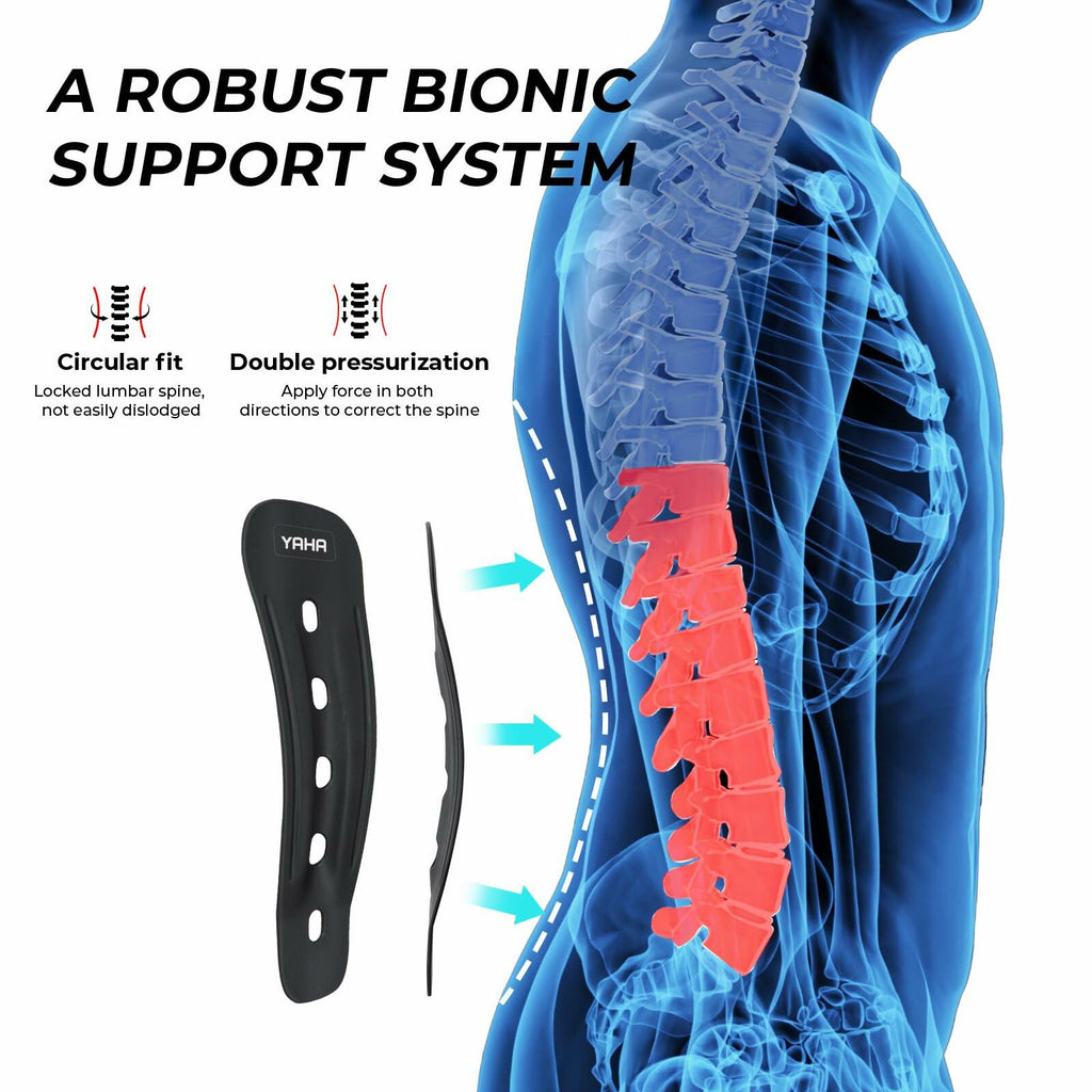Lower Back Support Brace