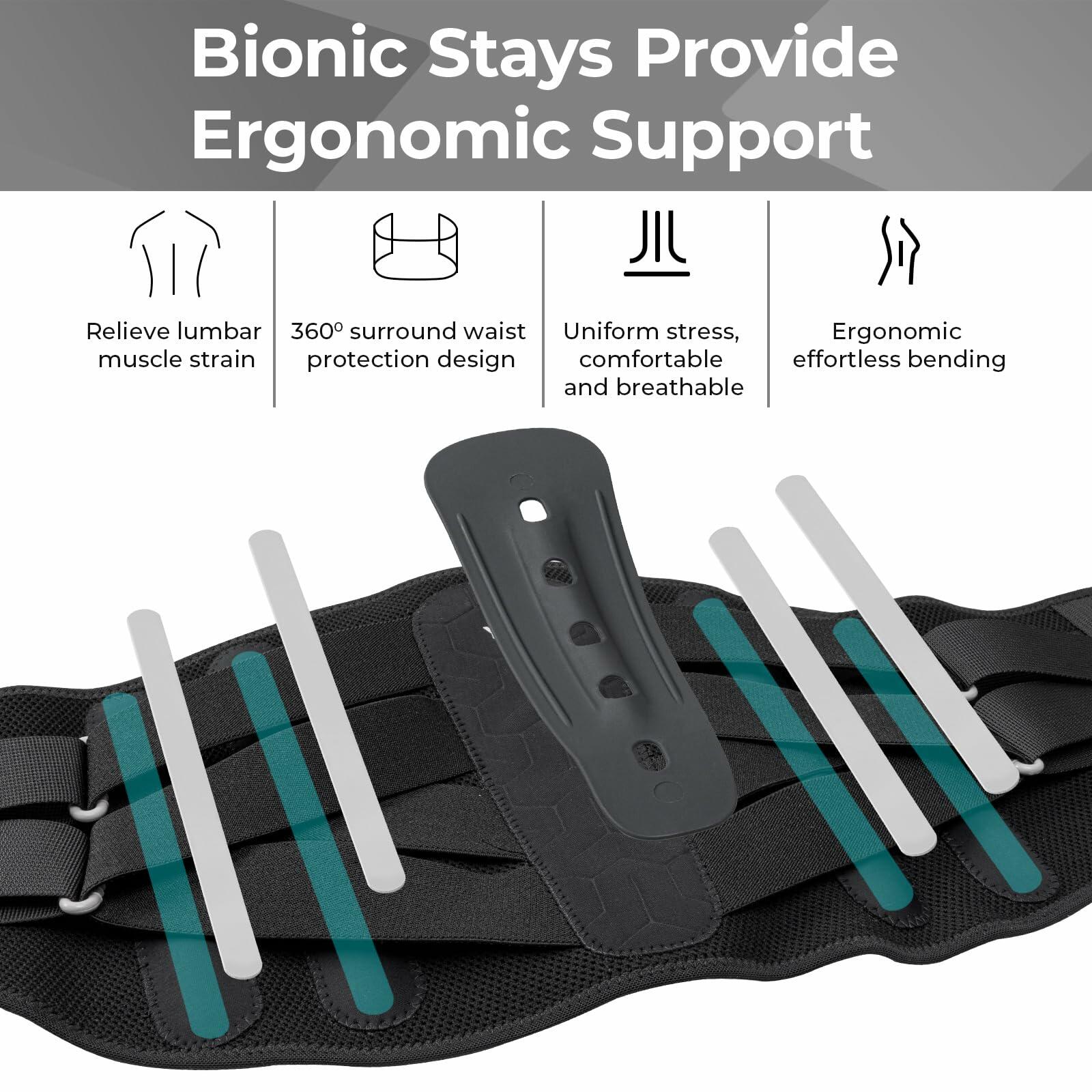 Lower Back Support Brace