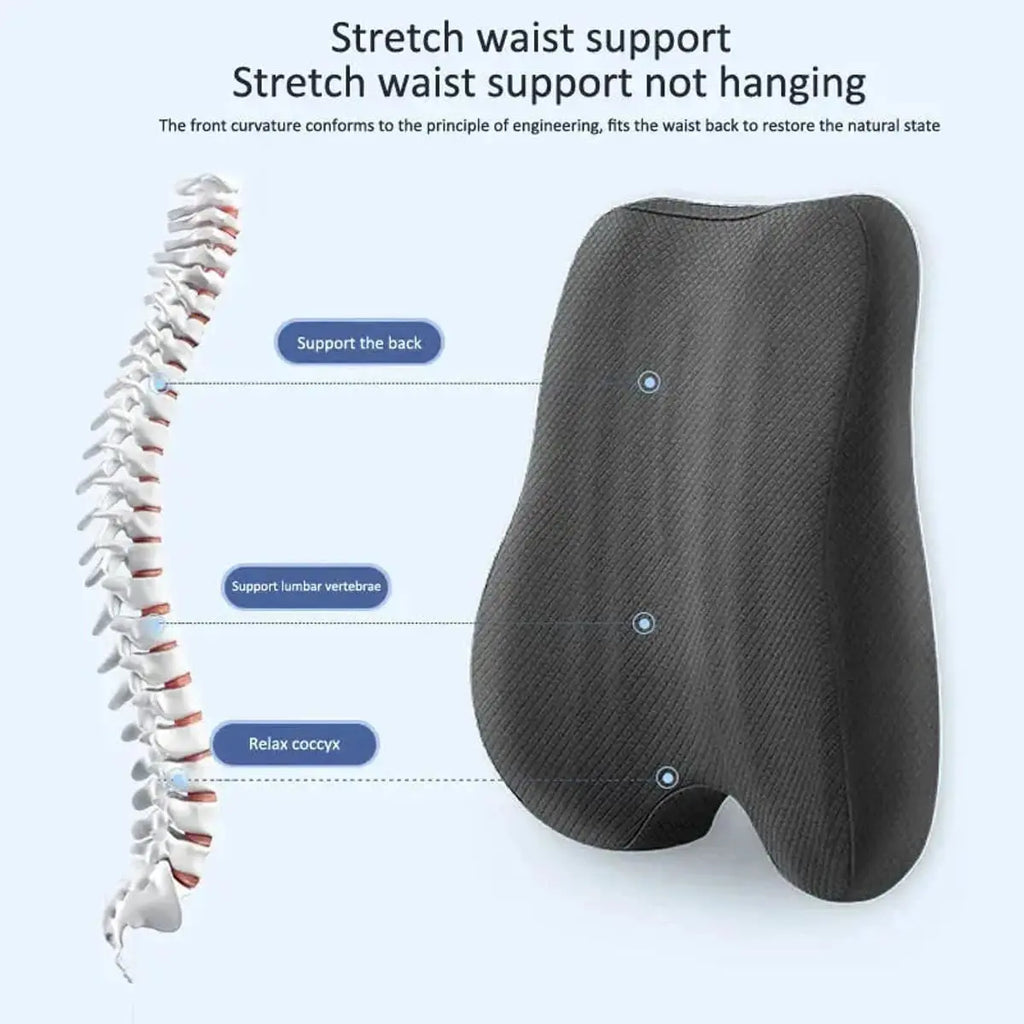 Lumbar Support Cushion for Car & Office