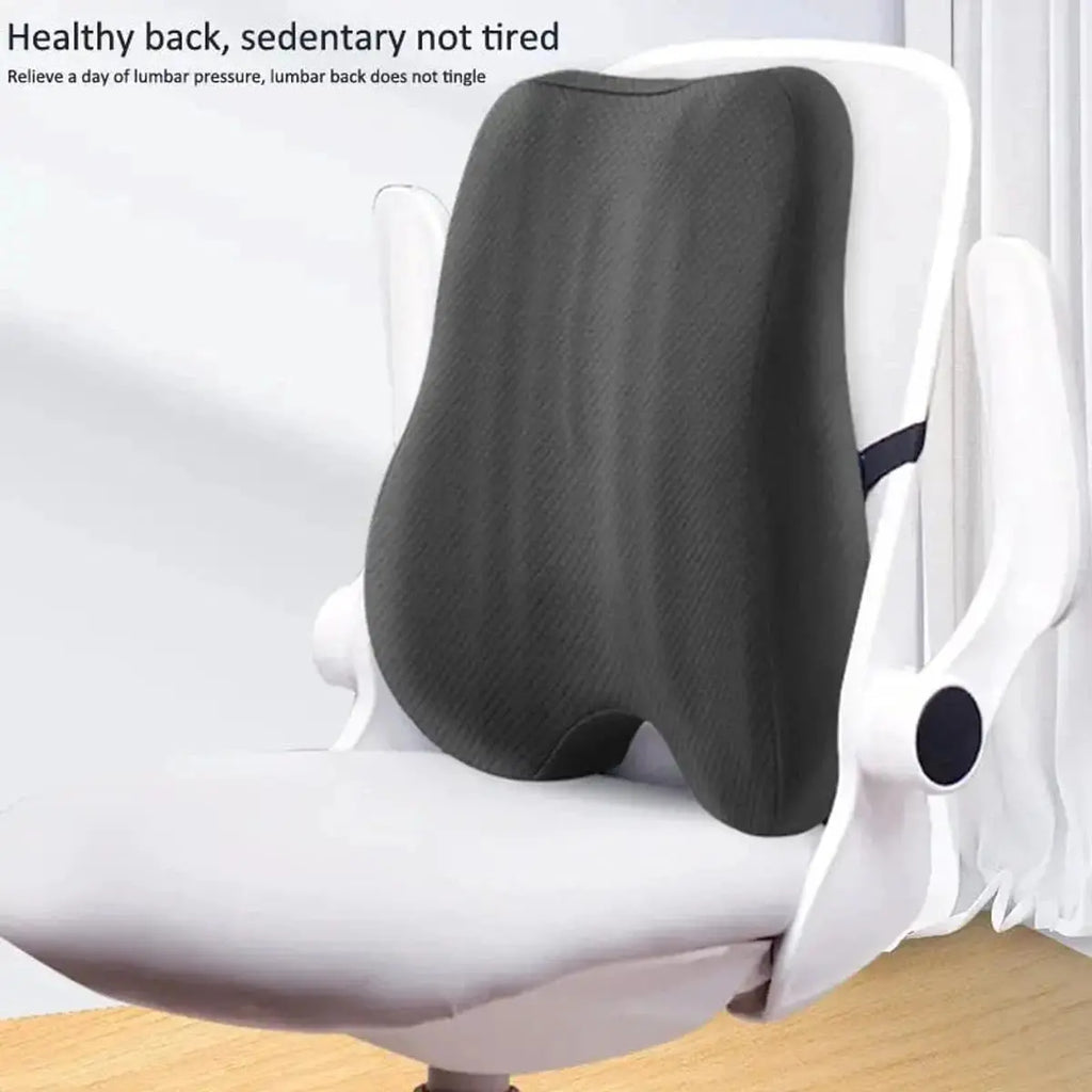 Lumbar Support Cushion for Car & Office